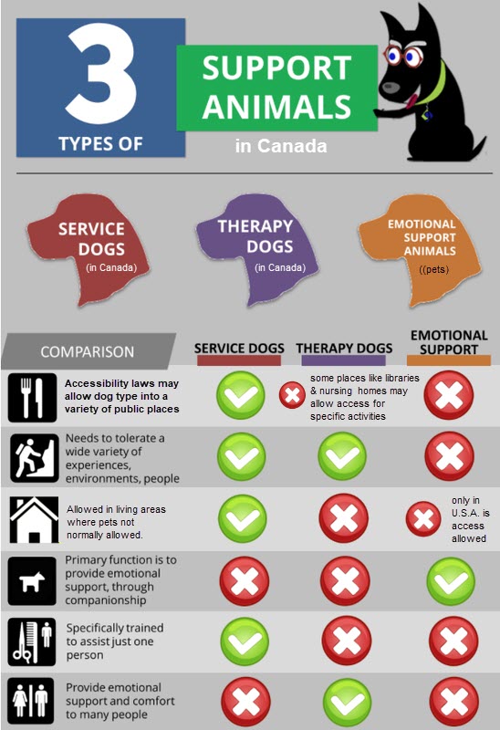 The Framework for Pet Policies in Ontario Condos